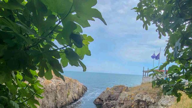 viber_image_2023-06-17_17-05-44-117